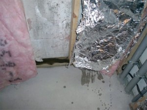 moldy-basement-insulation