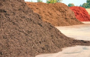 Bark Mulch In Different Colors