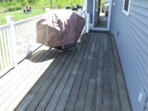 Cambara decking stained with mold.