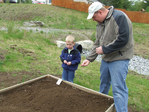 Planting a raised bed garden.